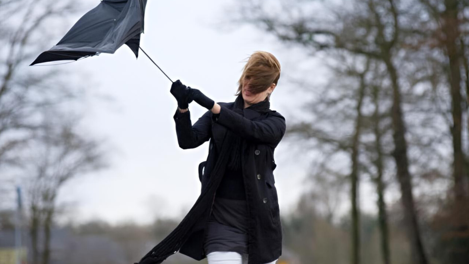media-inshot_20251212_184606946