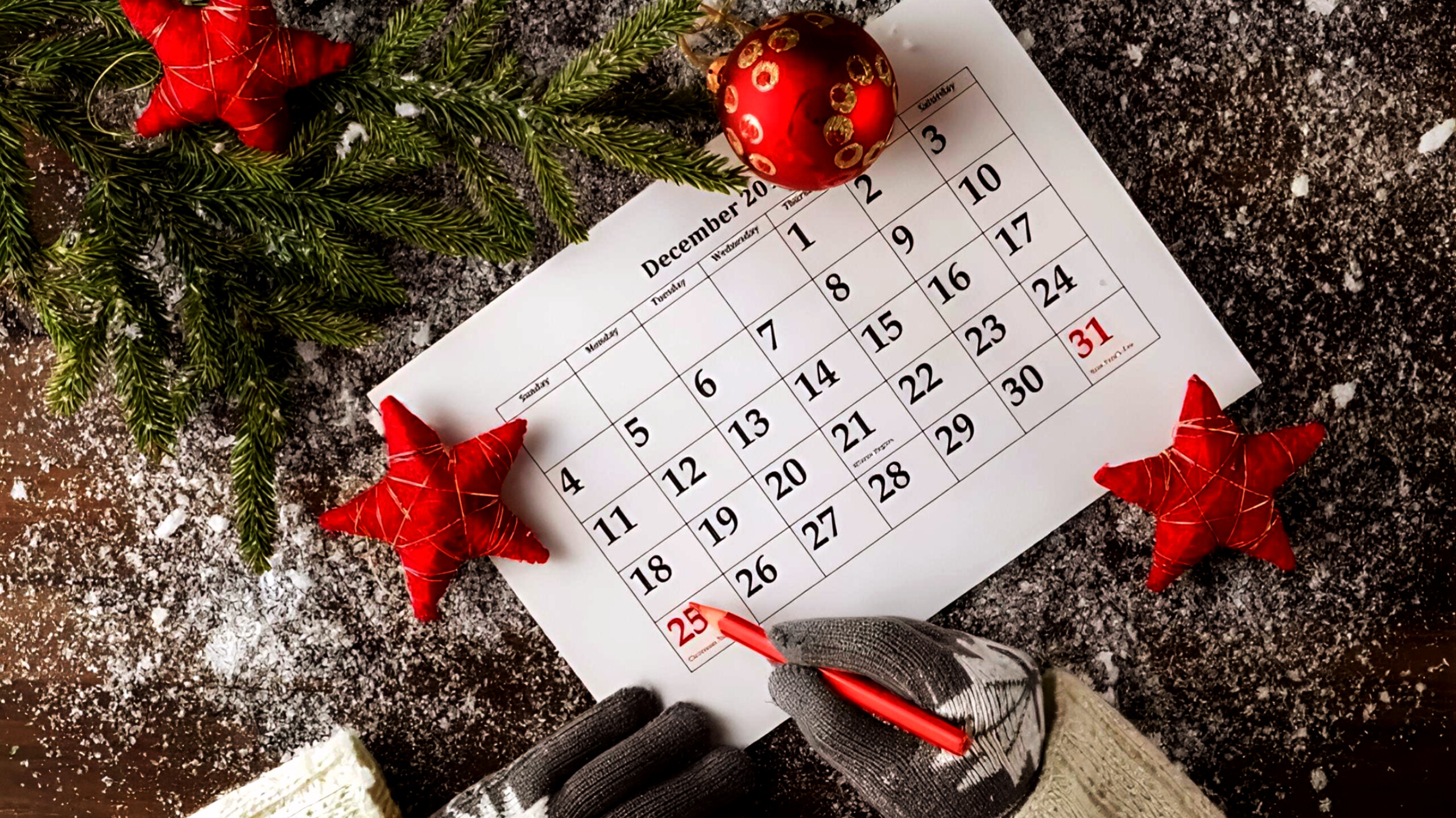 media-inshot_20251225_133955885