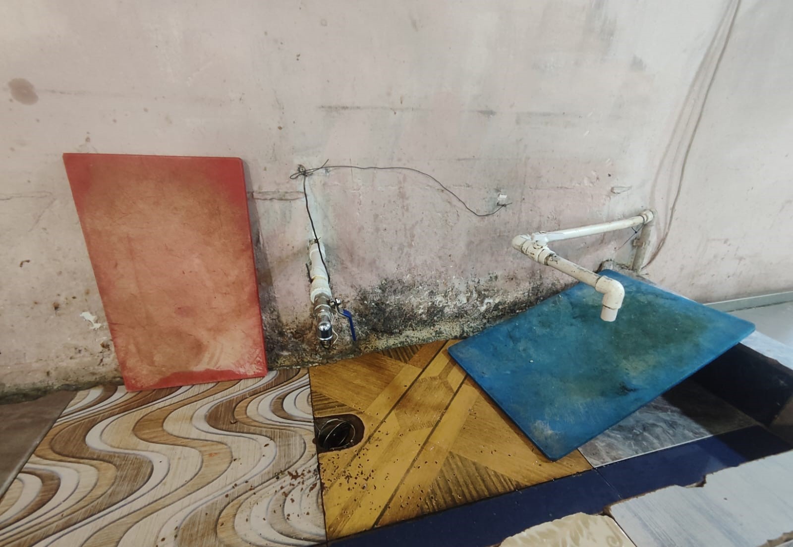 media-616201443_1198494445788525_2555614070084604925_n