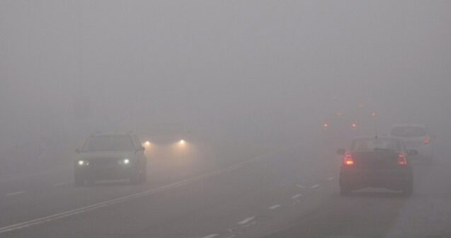 media-img_9396
