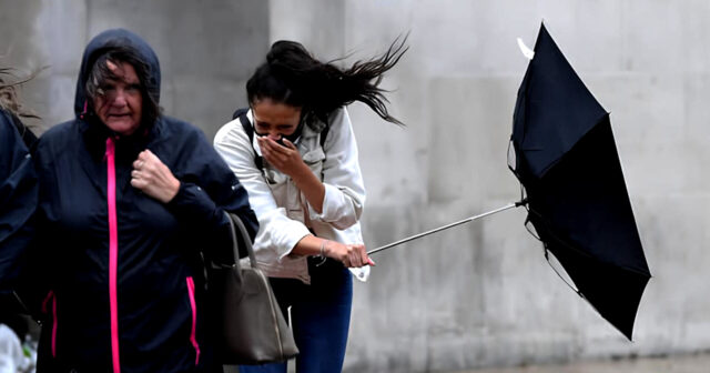 media-inshot_20260125_192826541