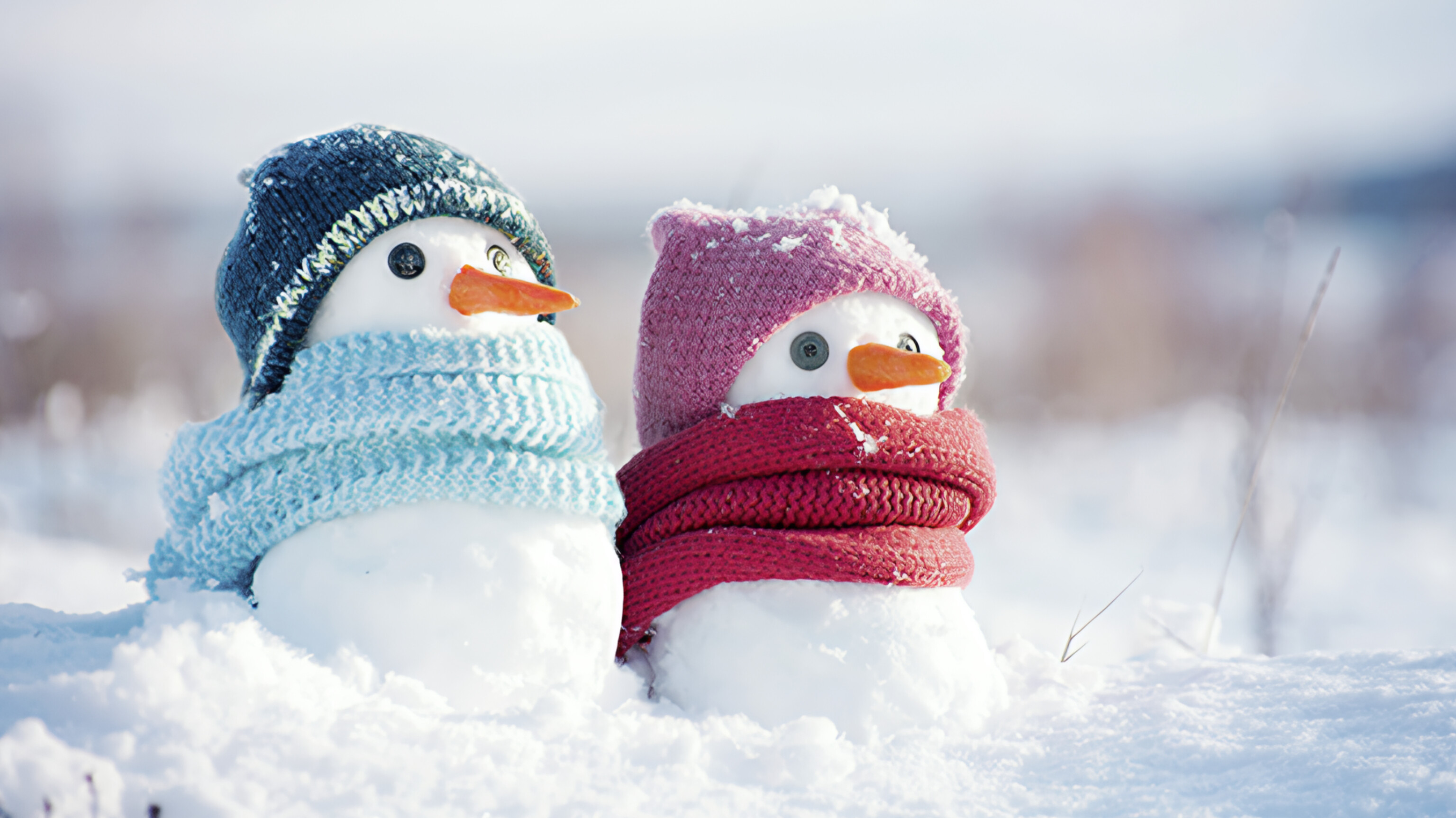 media-inshot_20260127_125550637