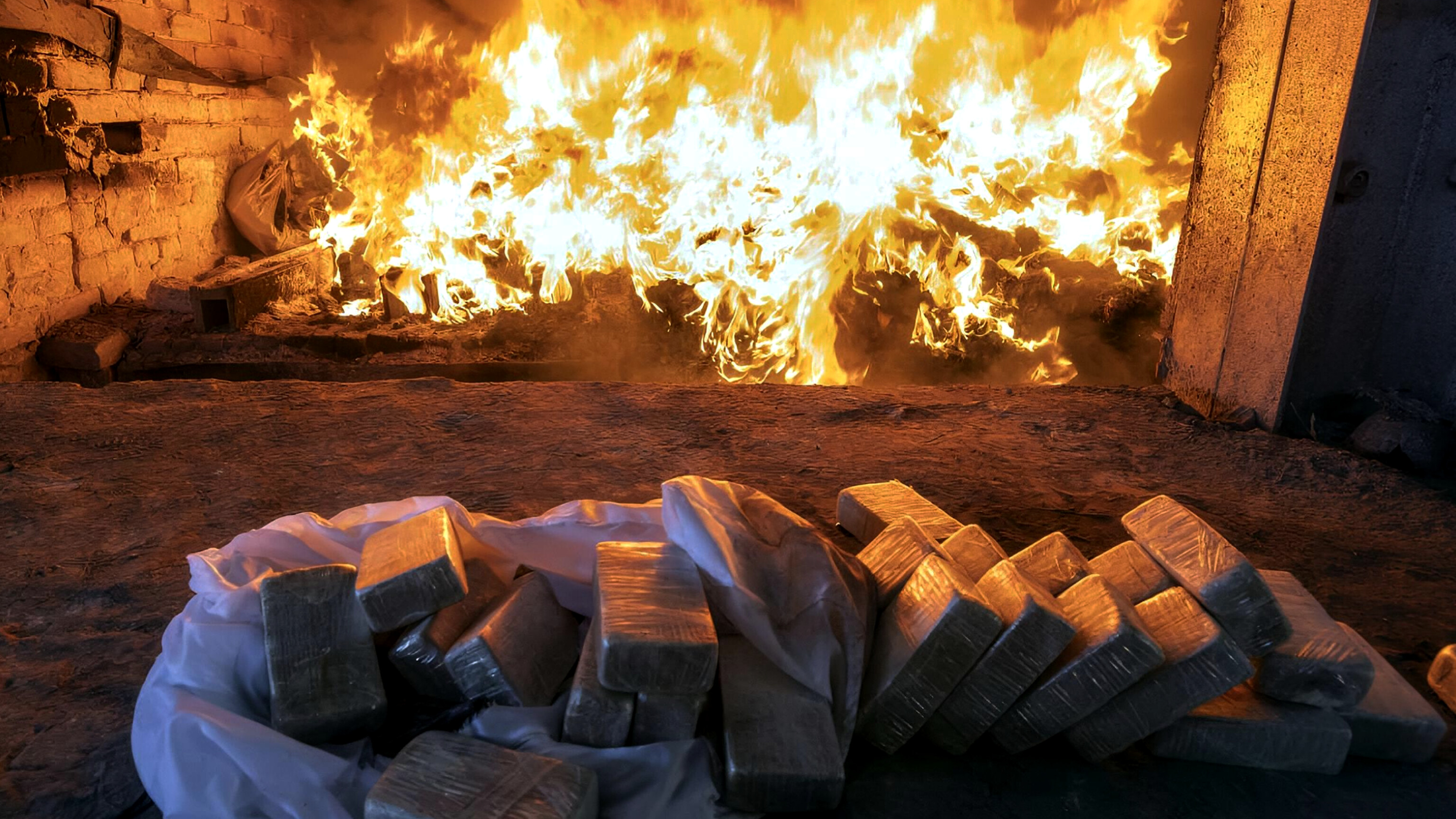 media-inshot_20260130_175251452