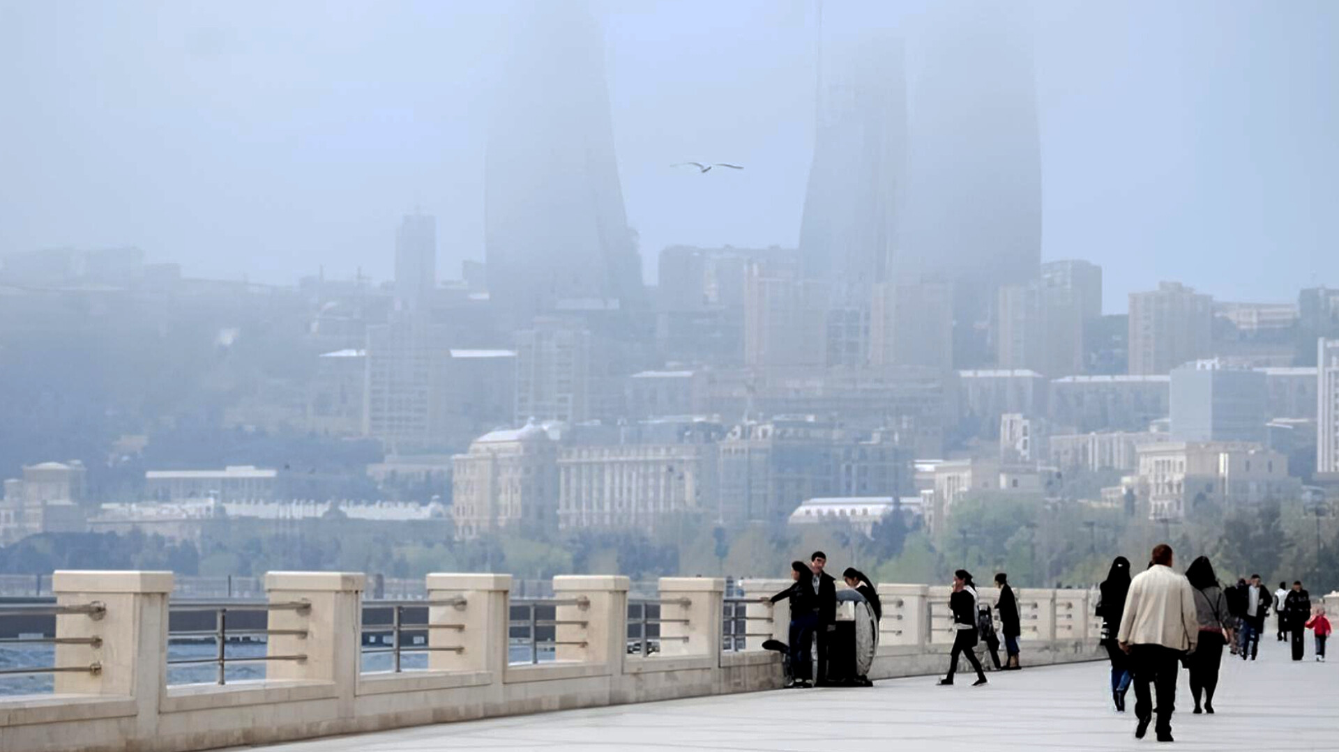 media-inshot_20260202_143710251