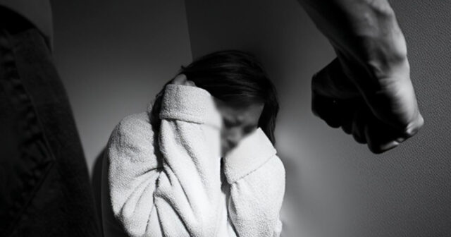 media-inshot_20260211_115144970