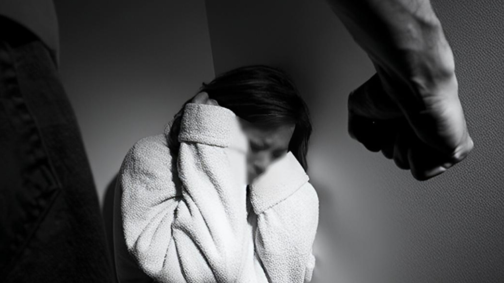 media-inshot_20260211_115144970
