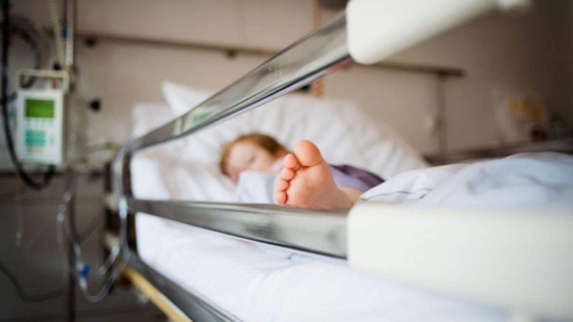 media-inshot_20260211_154831595