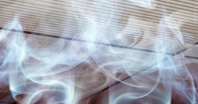 media-inshot_20260212_104441229