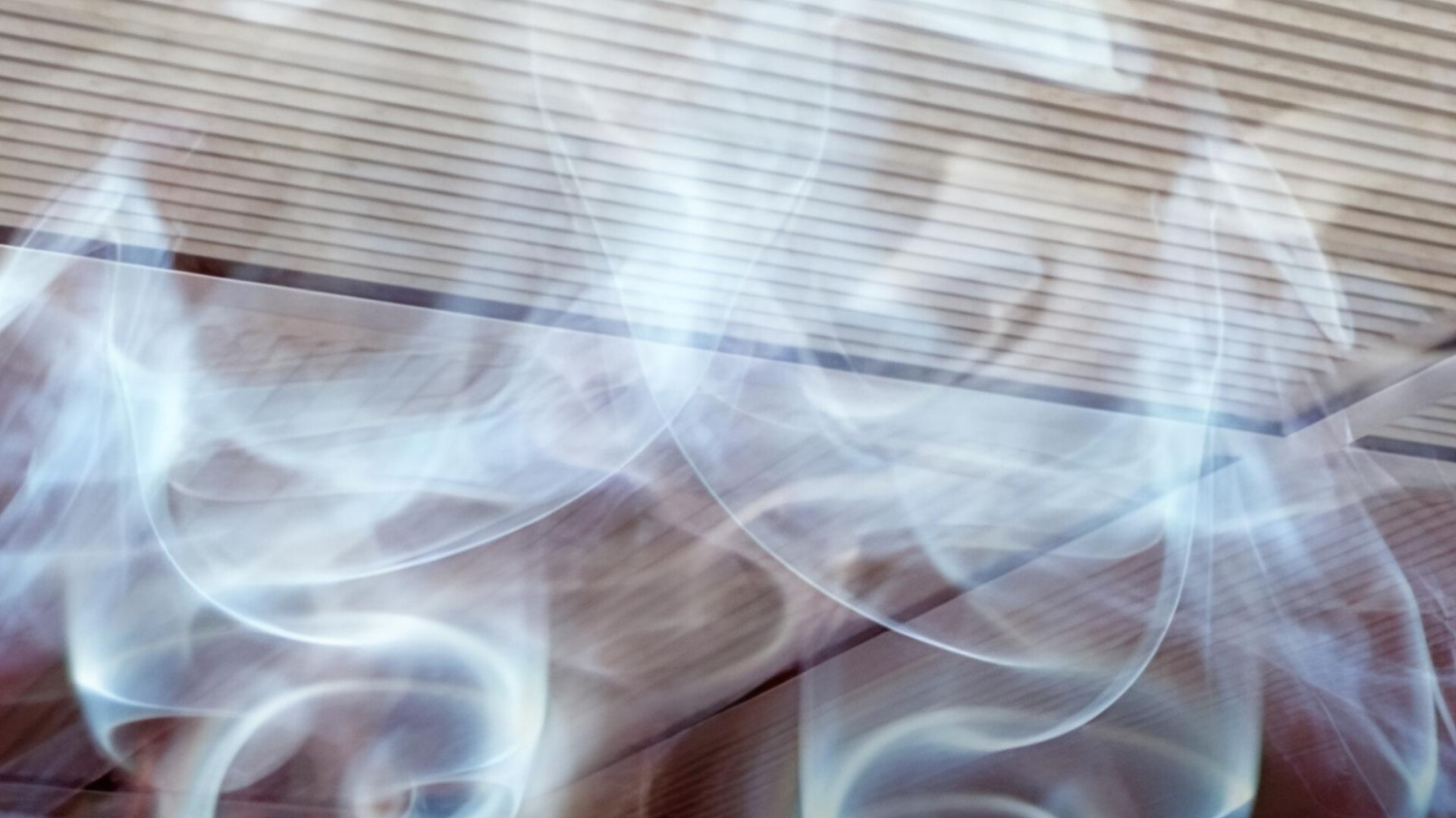 media-inshot_20260212_104441229
