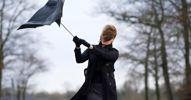 media-inshot_20260212_182323658