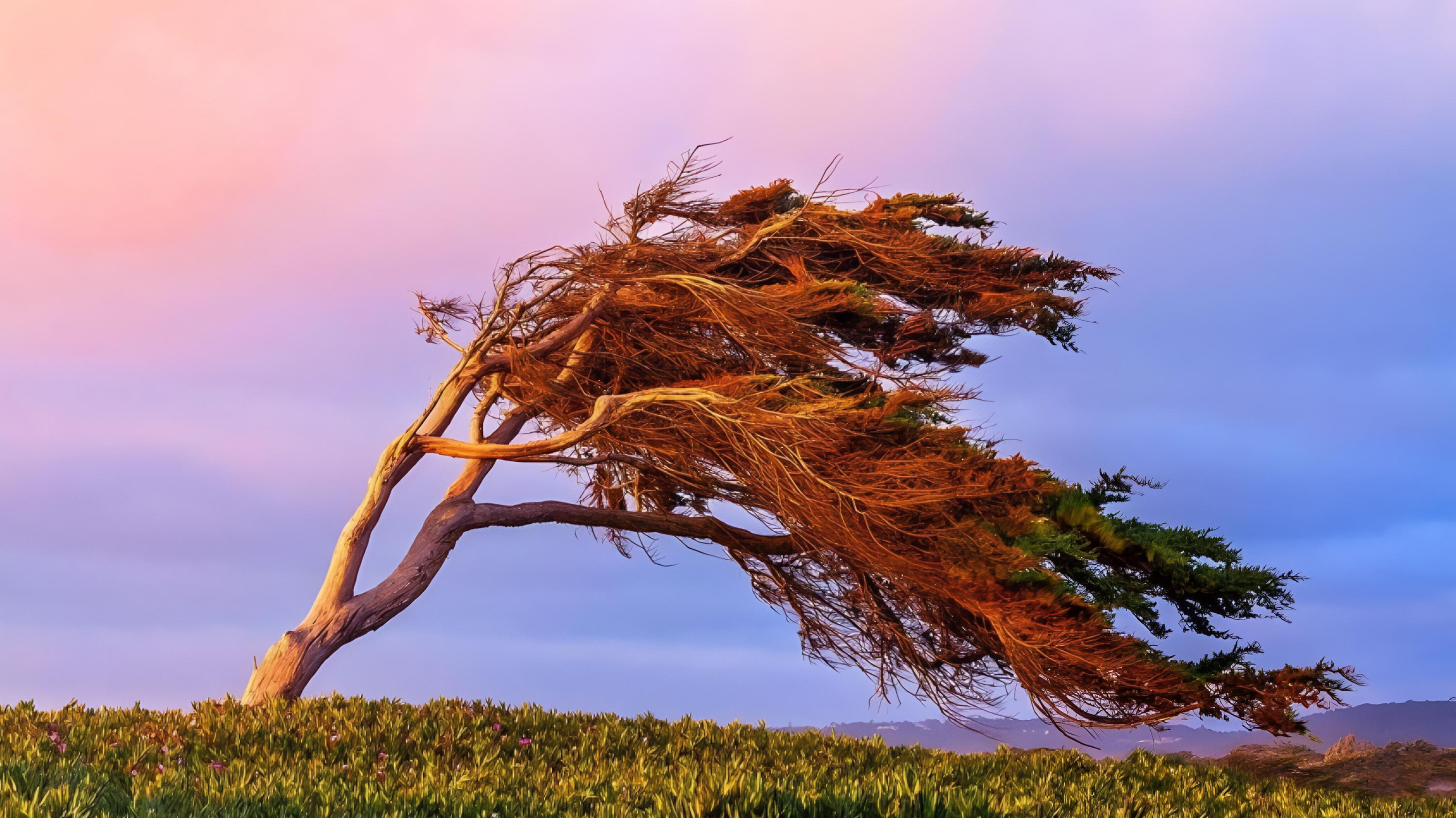 media-inshot_20260213_144811398