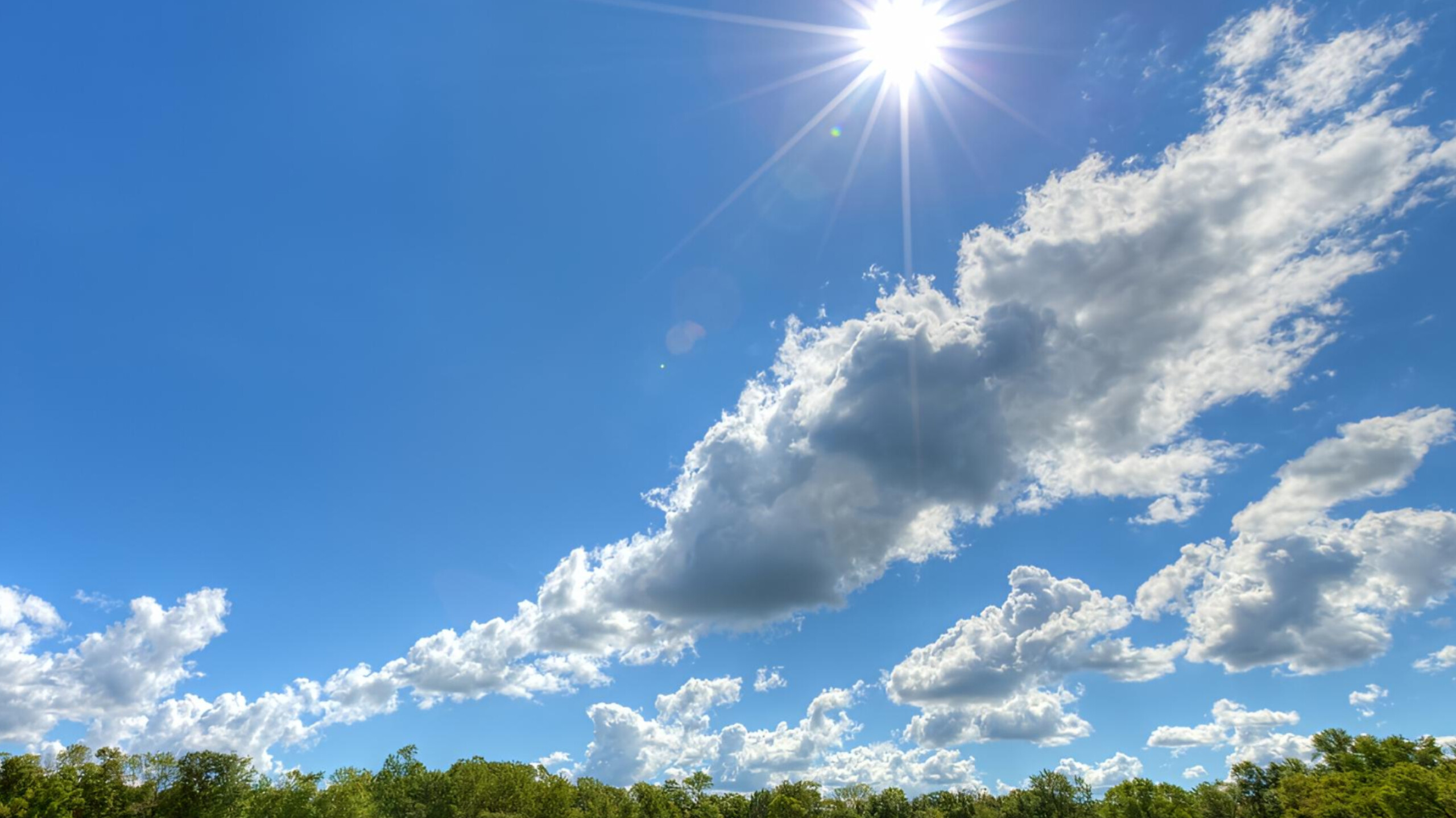 media-inshot_20260215_161246378