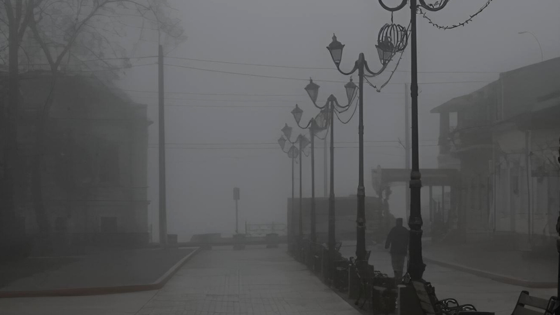 media-inshot_20260216_143001595