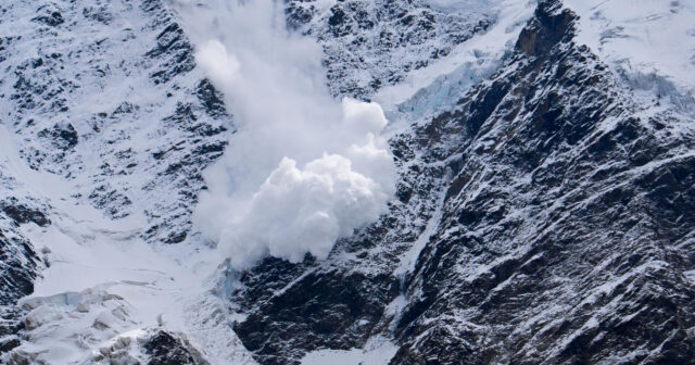 media-inshot_20260216_203902750