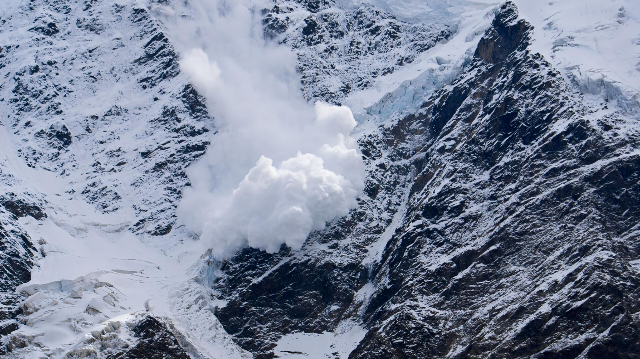 media-inshot_20260216_203902750