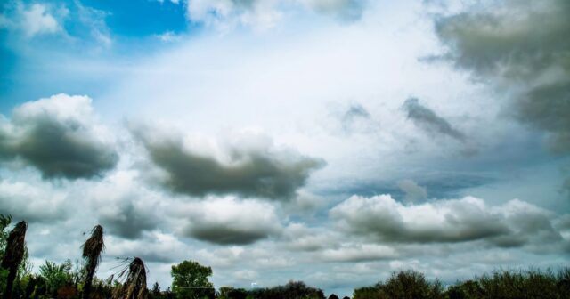 media-inshot_20260218_131931083