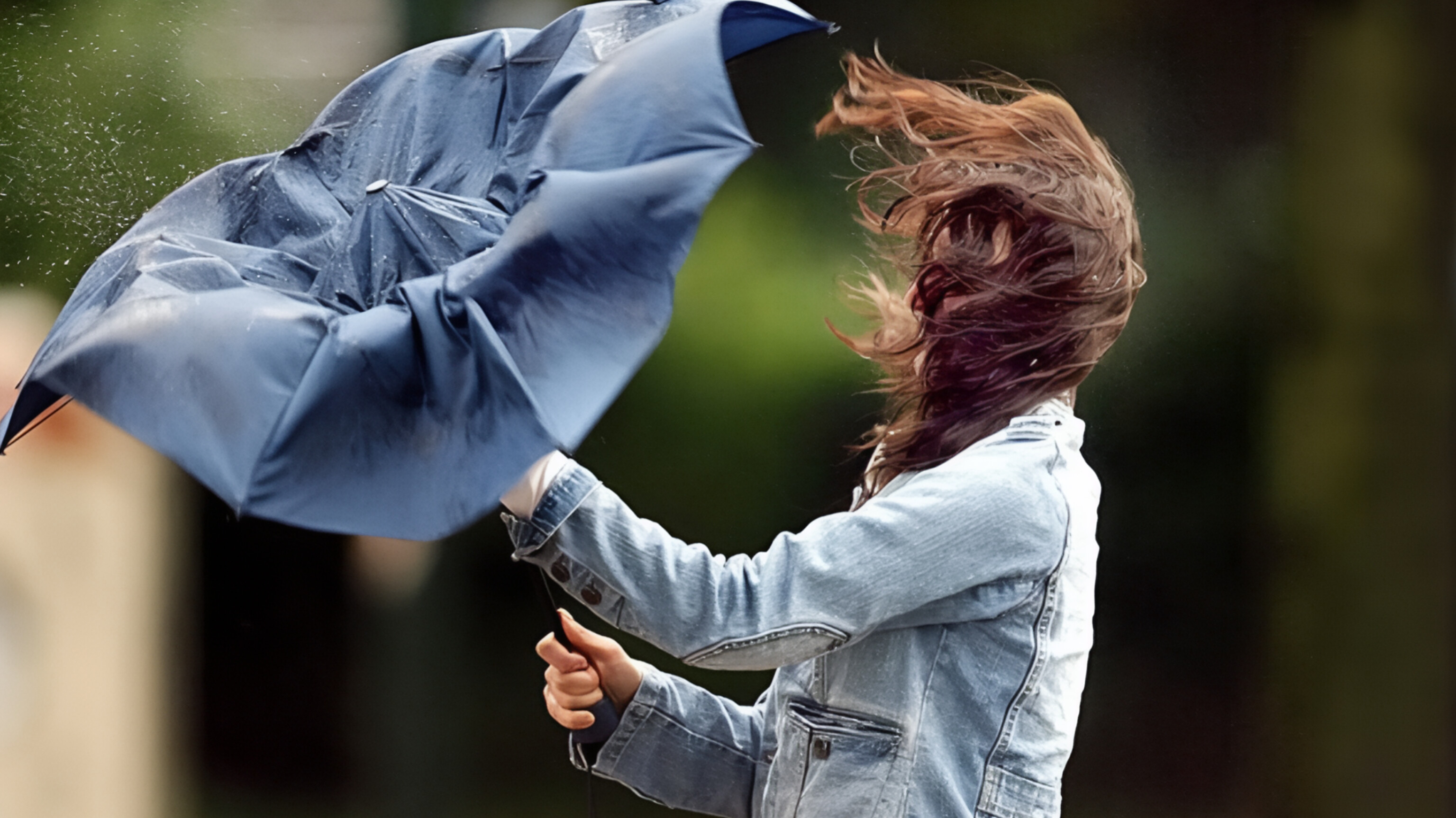 media-inshot_20260219_122059285