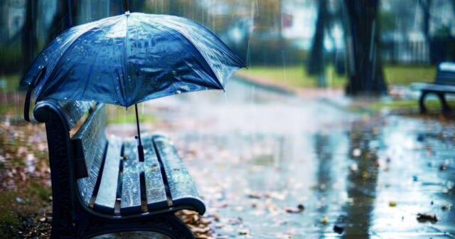 media-inshot_20260222_201223819