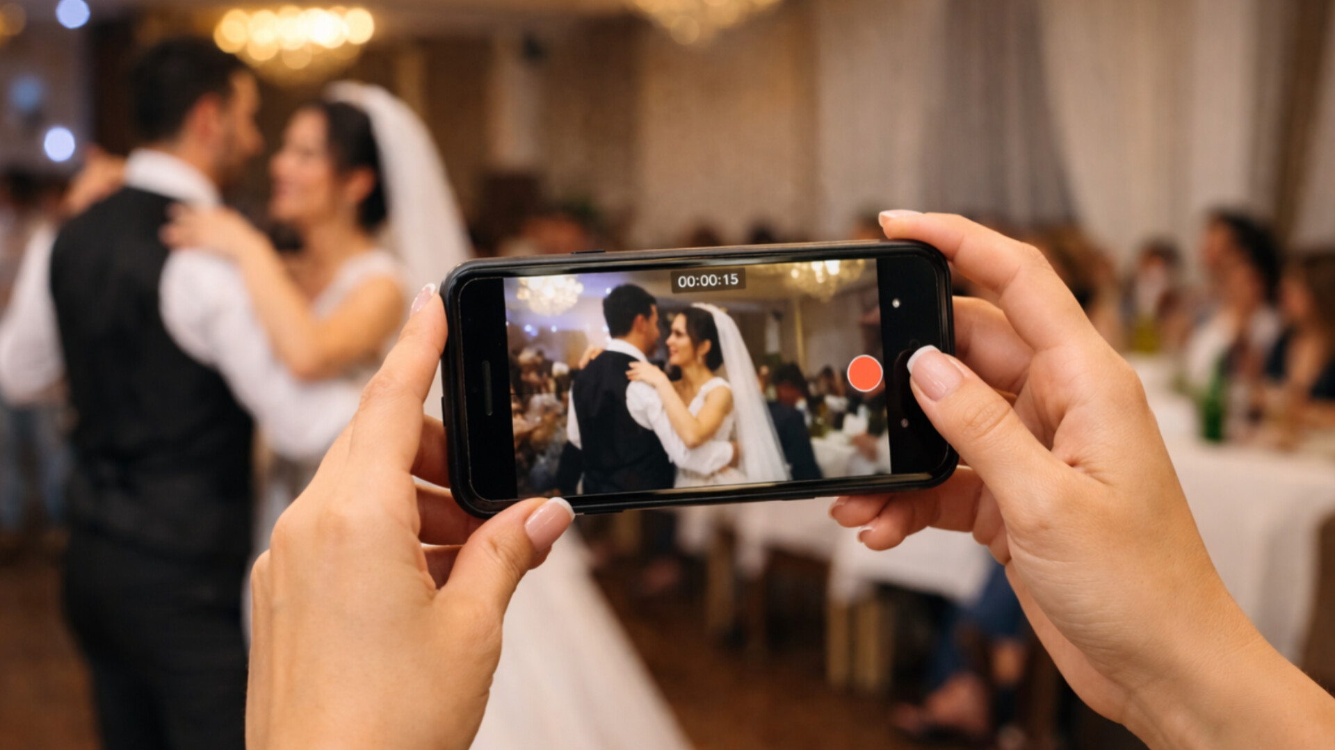 media-inshot_20260224_165636903
