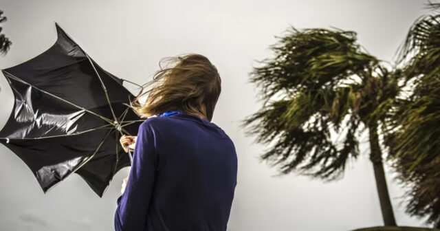 media-inshot_20260225_175327291