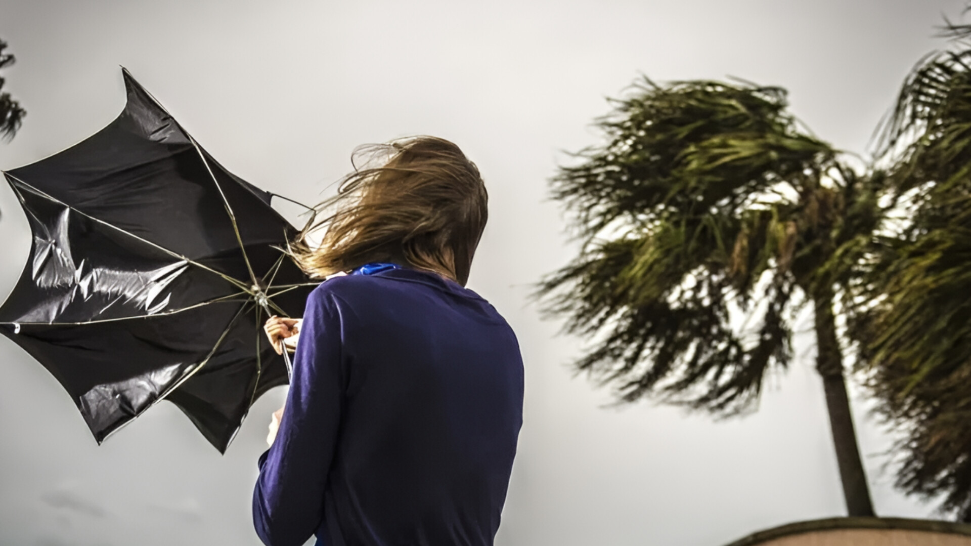 media-inshot_20260225_175327291
