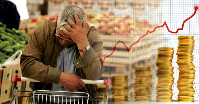 media-inshot_20260225_211204473