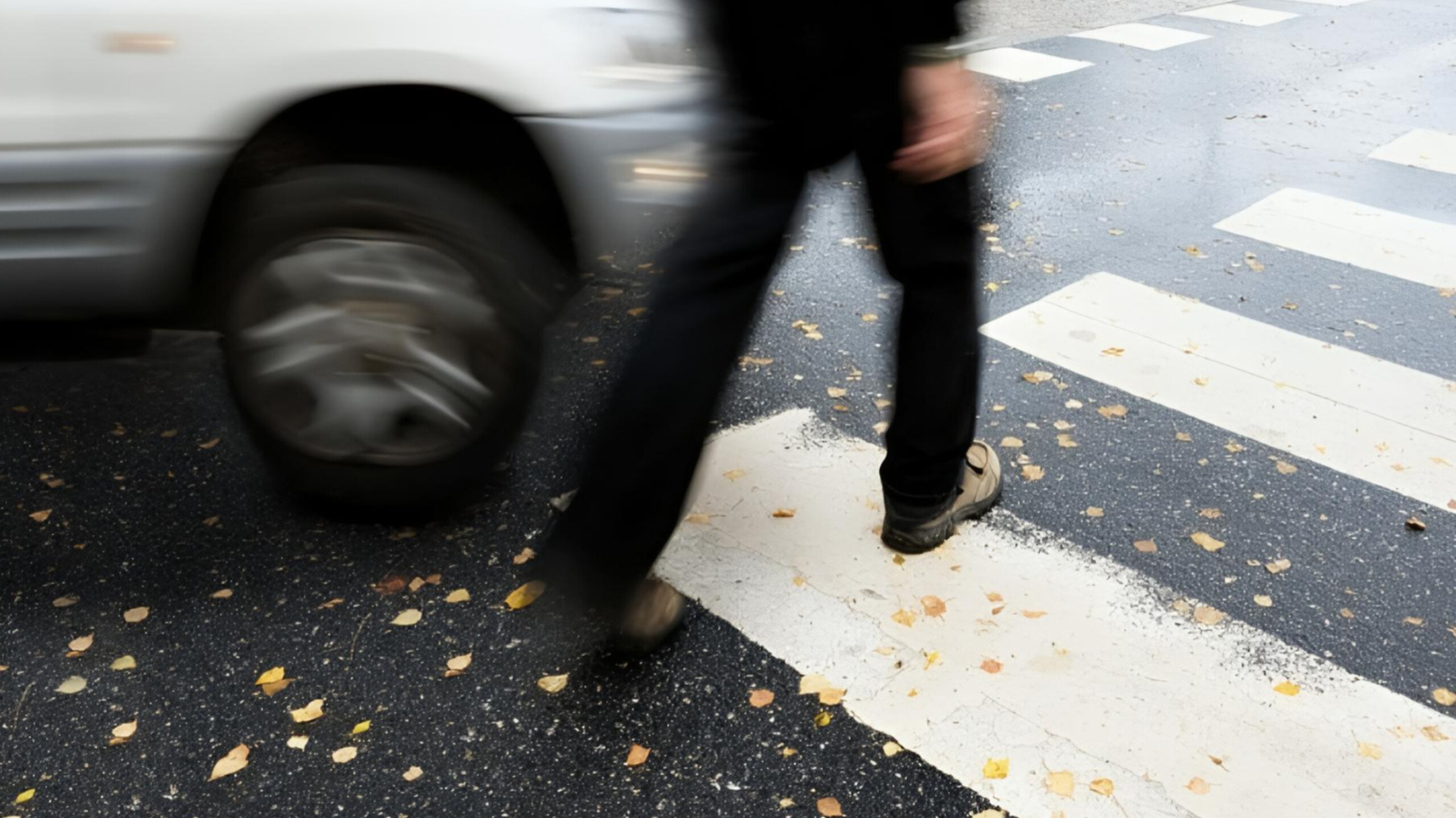 media-inshot_20260228_191922225