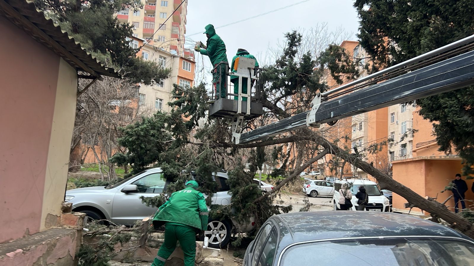 media-whatsapp_image_2026-02-04_at_10-40-29