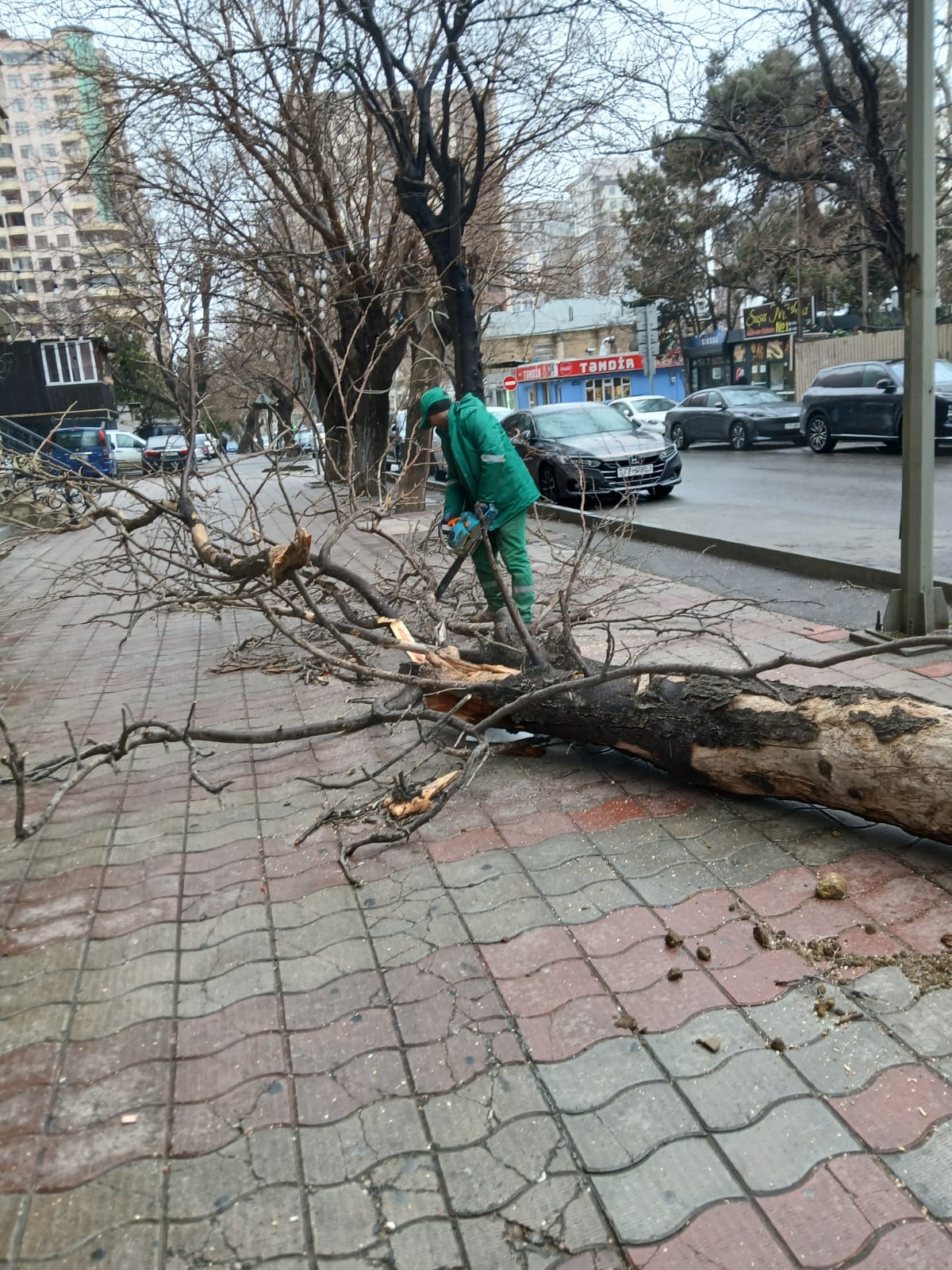 media-whatsapp_image_2026-02-04_at_10-40-31