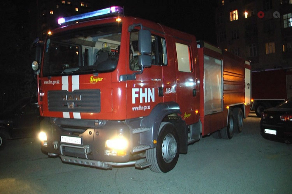 media-fhn_1771610338