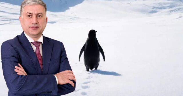 media-photo-output