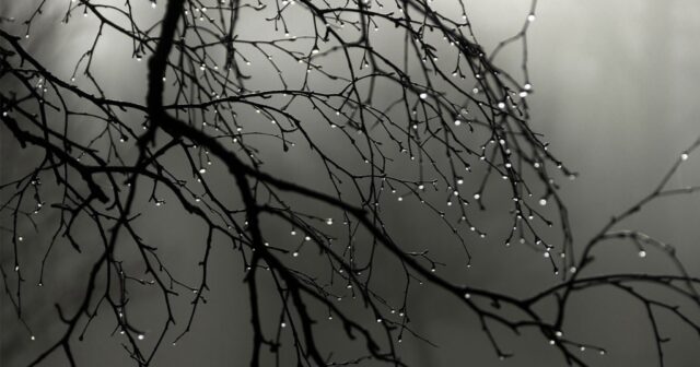 media-photo-output