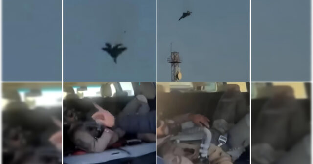 media-inshot_20260302_155546693