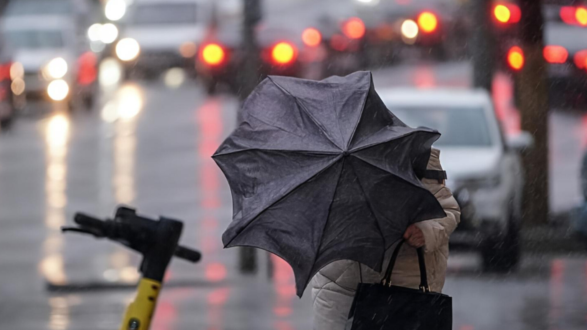 media-inshot_20260306_155251682