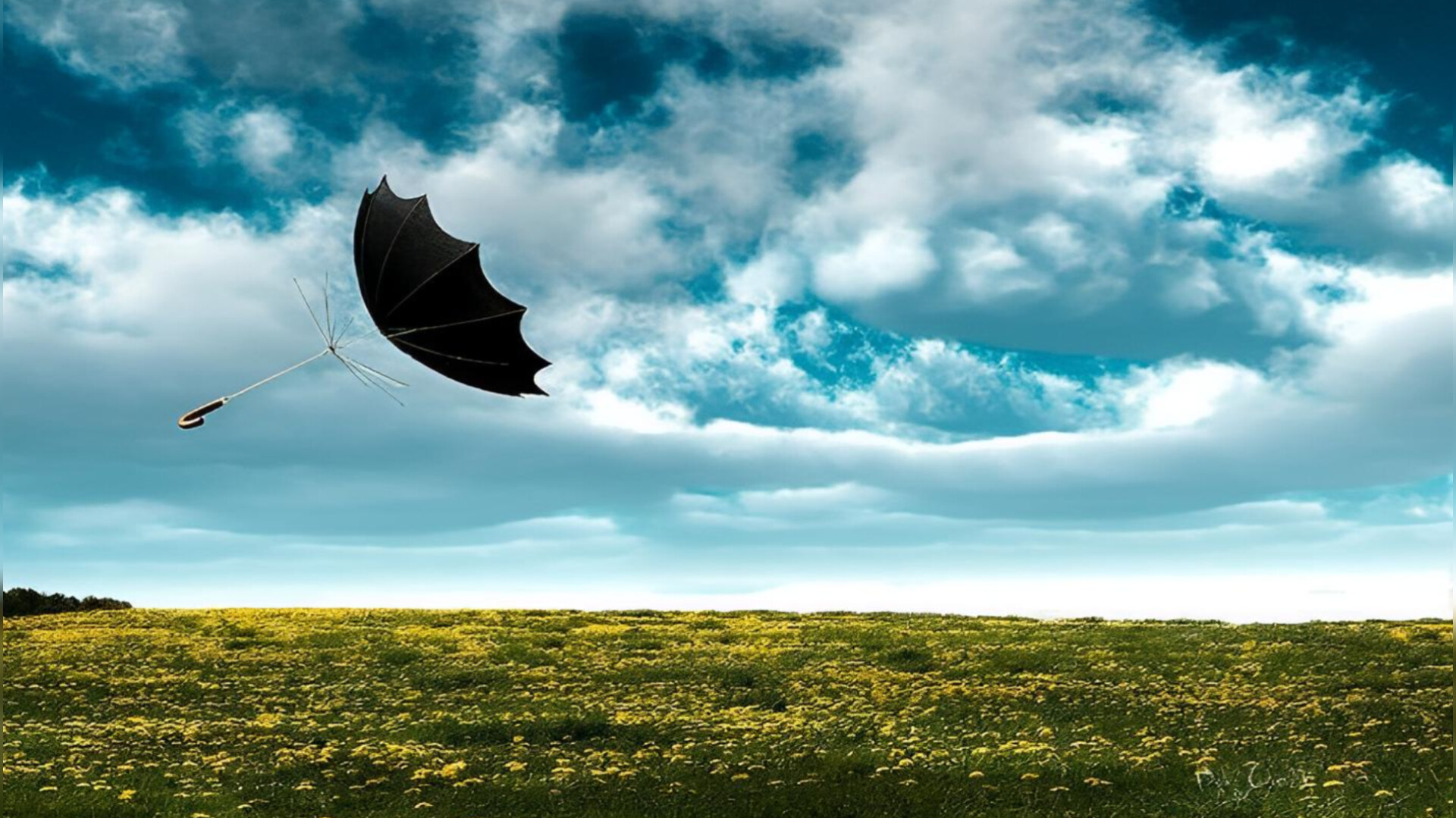 media-inshot_20260326_144913468
