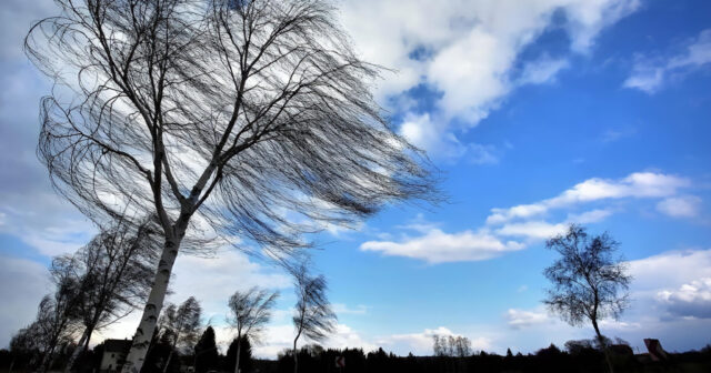 media-inshot_20260329_180143664
