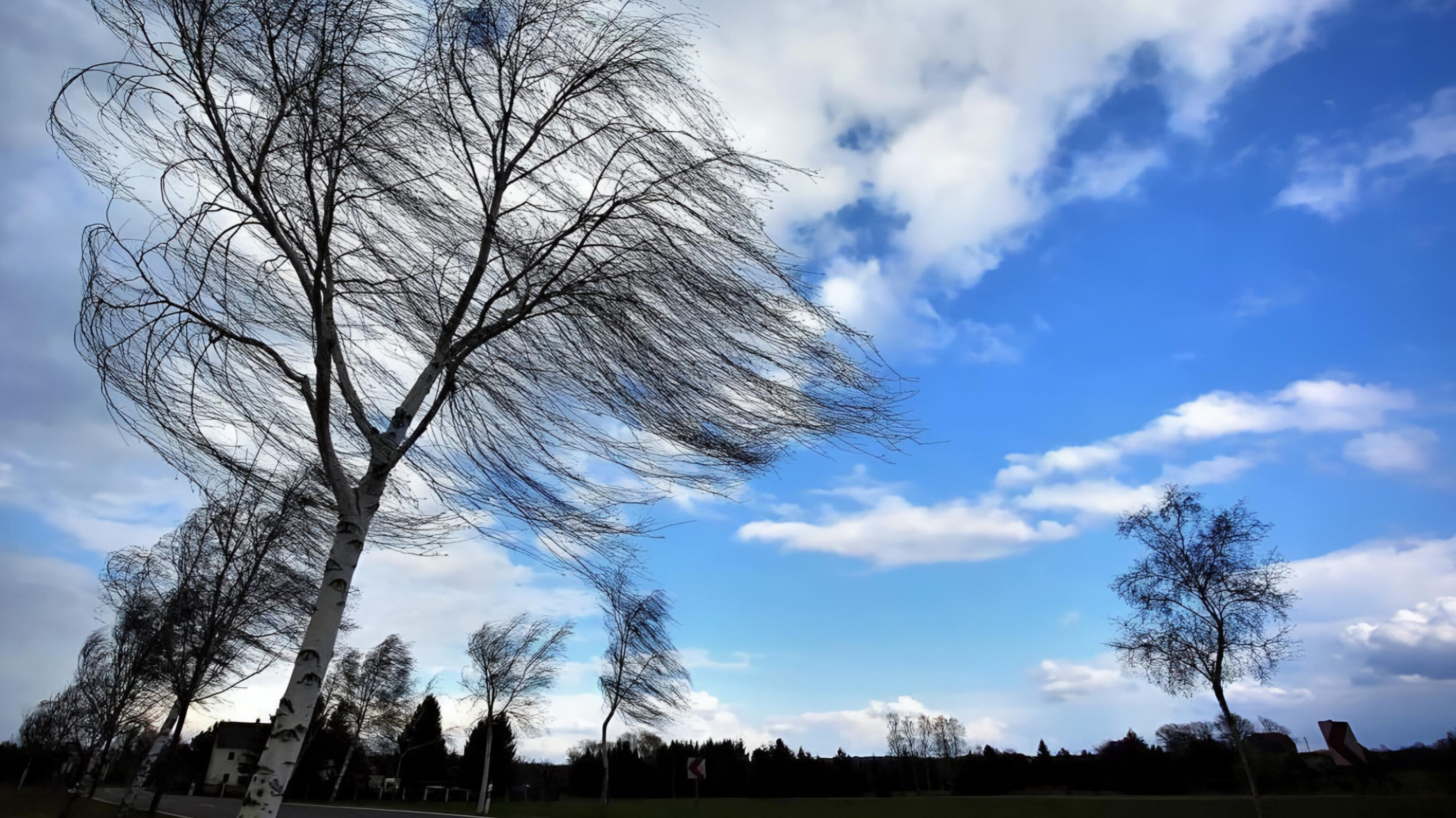 media-inshot_20260329_180143664