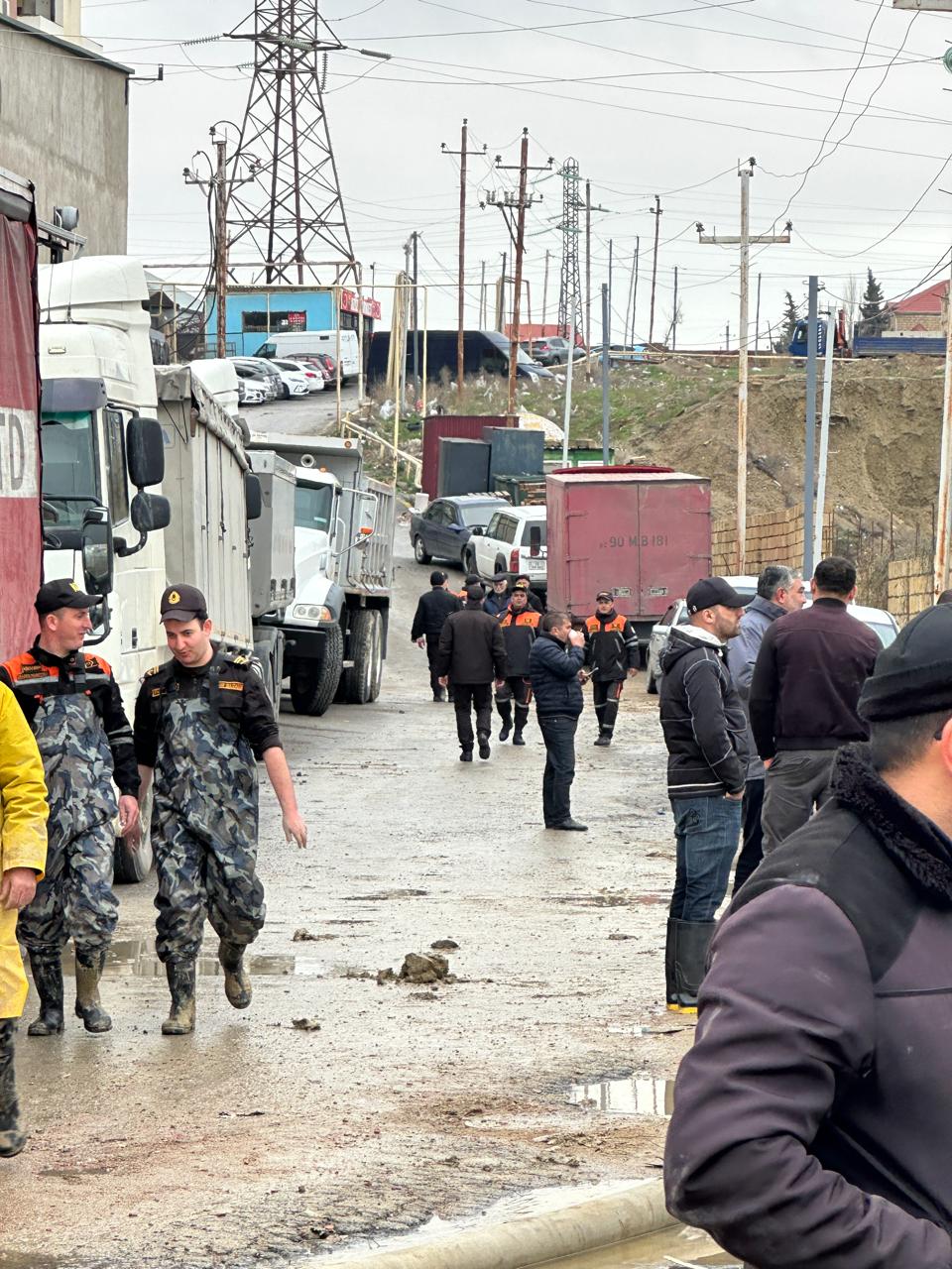 media-1774786234_5