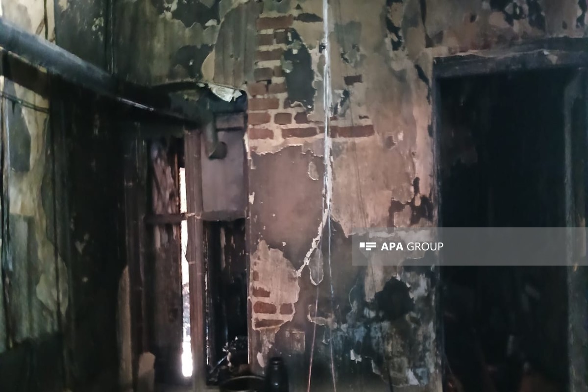 media-1775019680_69cca3ad8ff9569cca3ad8ff96177501892469cca3ad8ff9269cca3ad8ff93