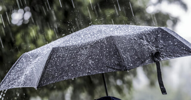 media-inshot_20260406_102635287