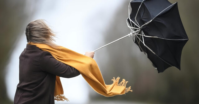 media-inshot_20260408_091653557