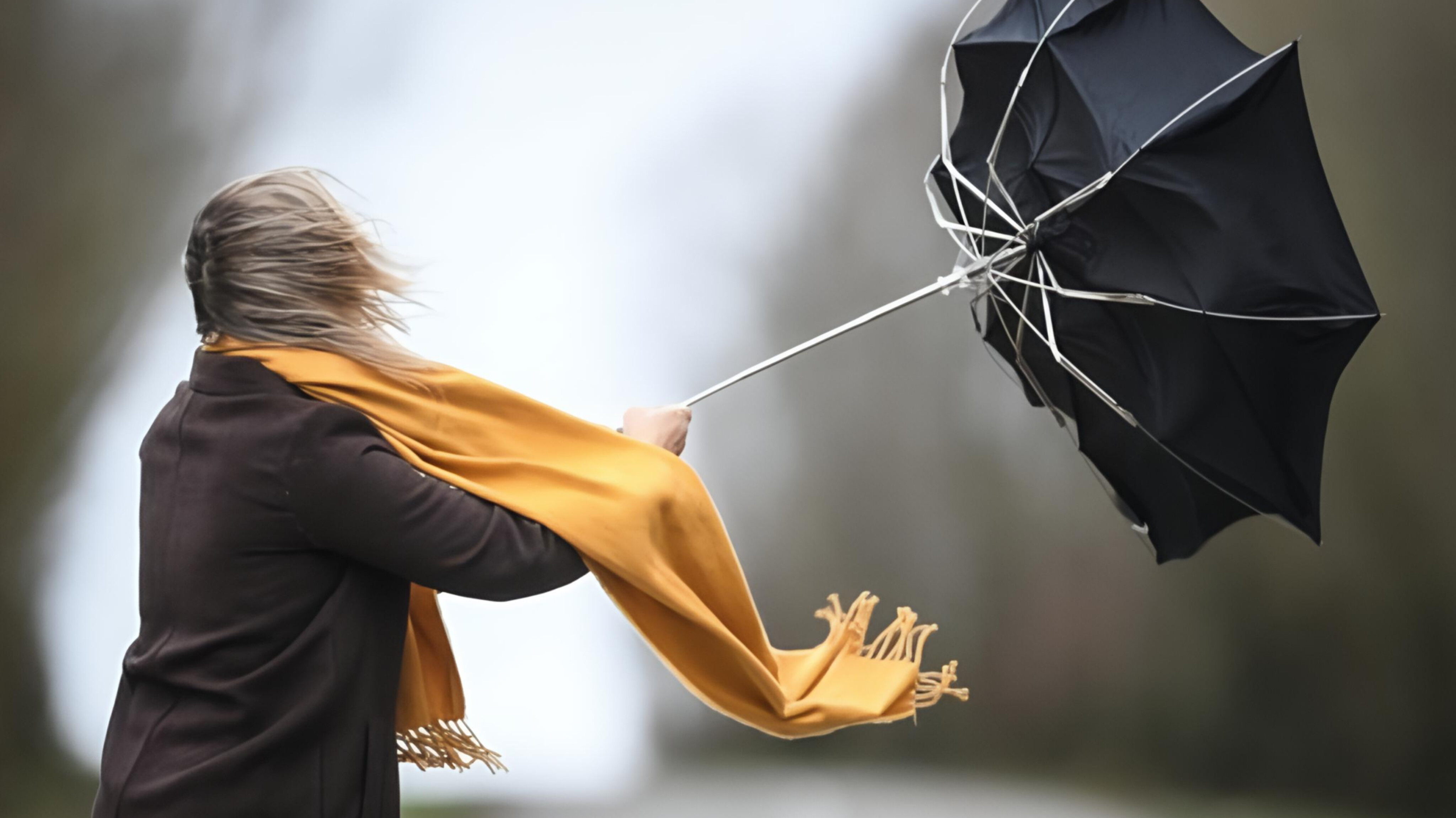 media-inshot_20260408_091653557