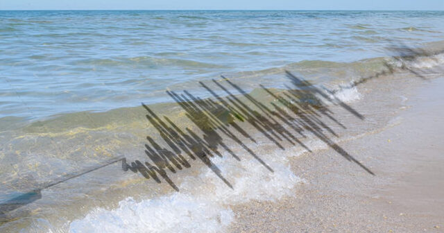 media-inshot_20260408_135128046