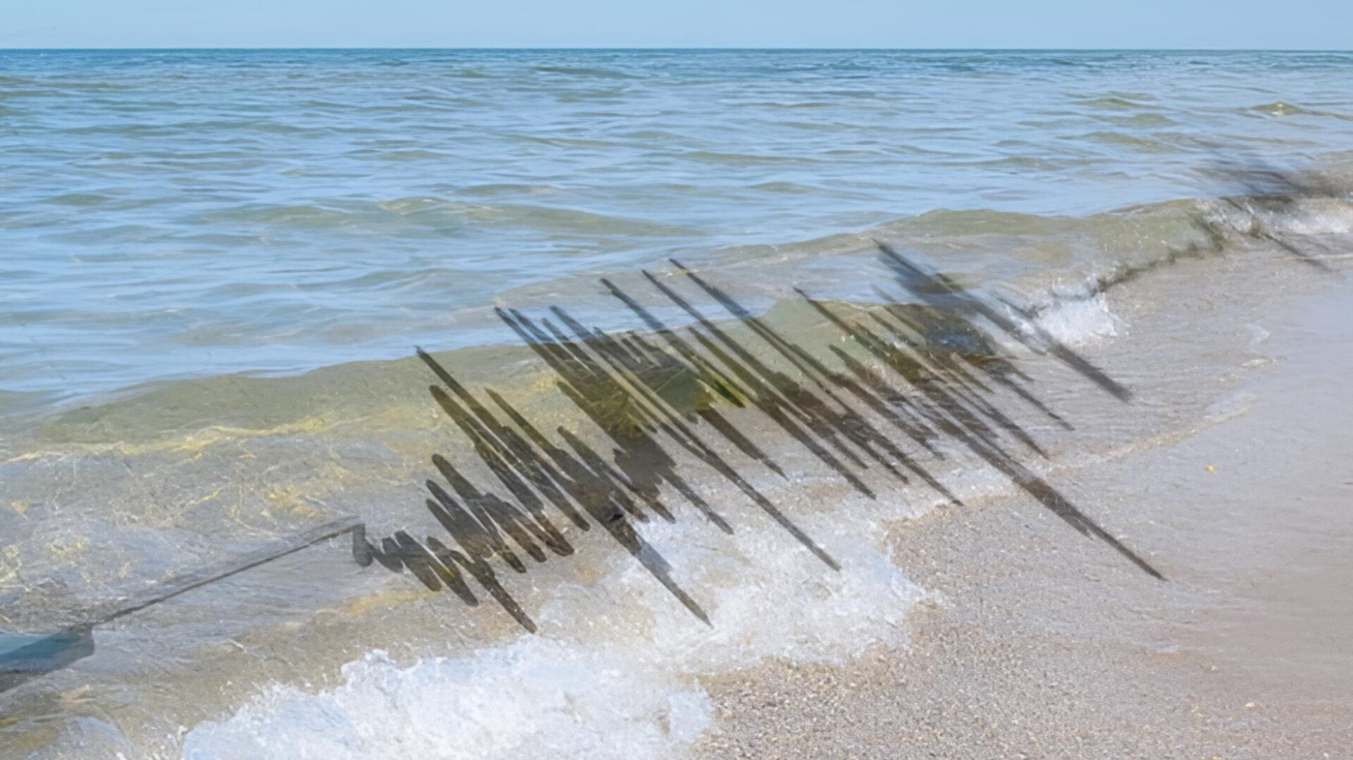 media-inshot_20260415_085051640