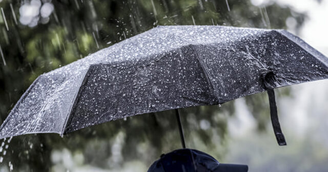 media-inshot_20260415_141306977