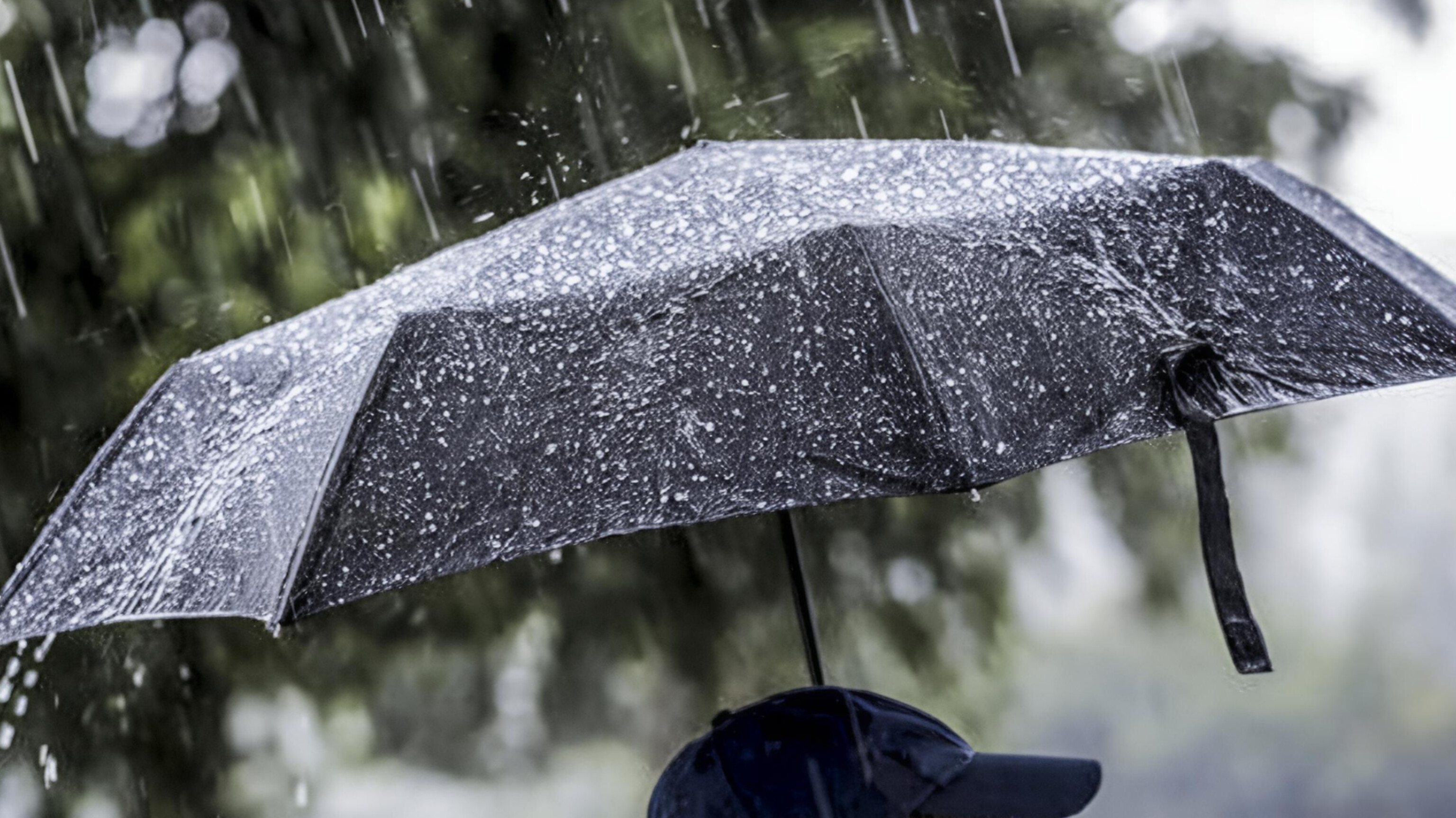 media-inshot_20260415_141306977