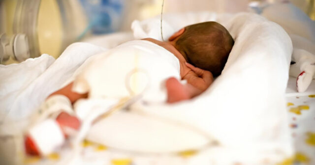 media-inshot_20260417_143306657