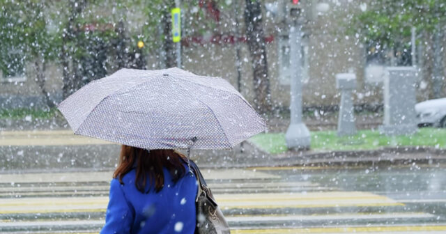 media-inshot_20260419_145348686