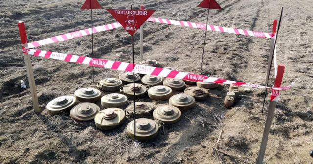 media-inshot_20260420_134930561