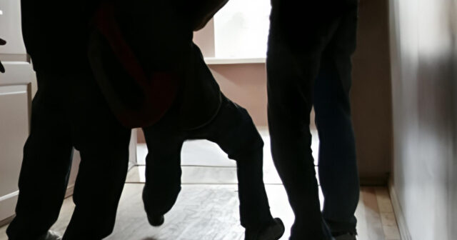 media-inshot_20260420_143238588